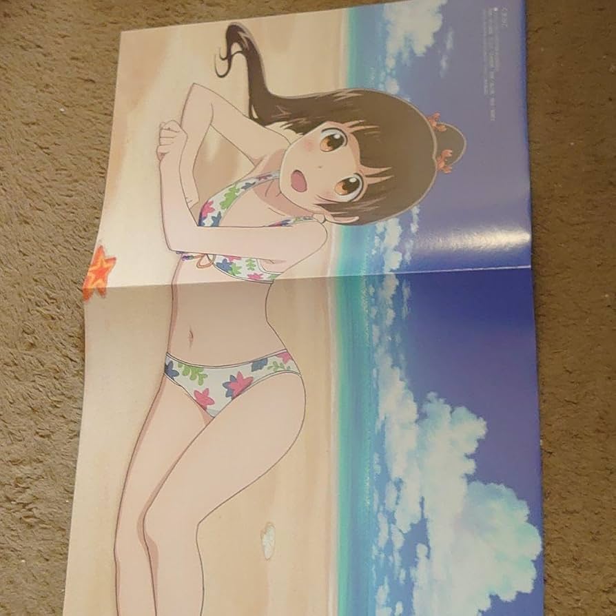 Amazon.co.jp: ✣くまみこ ポスターP 水着姿 : ファッション